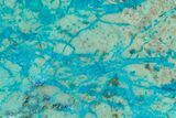 Polished Blue River Chrysocolla Section - Arizona #167529-1